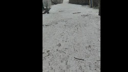 Горожанка спрашивает, почему нет транспорта, который едет до школы №58