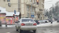 «Тойота» проехала на красный свет светофора. Фото