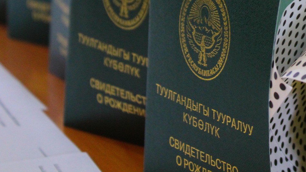 Иллюстративное фото