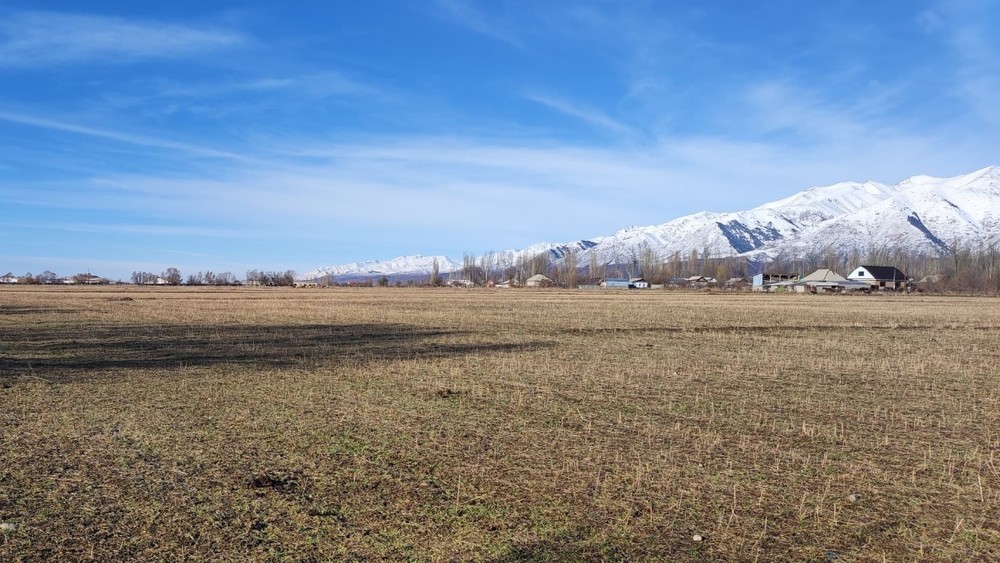 Иллюстрациялык сүрөт