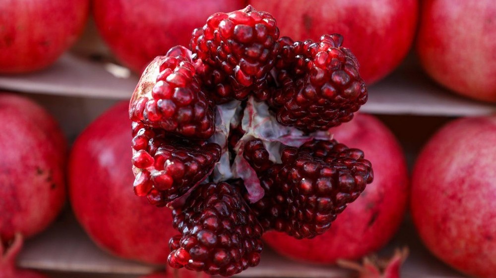 Иллюстрациялык сүрөт