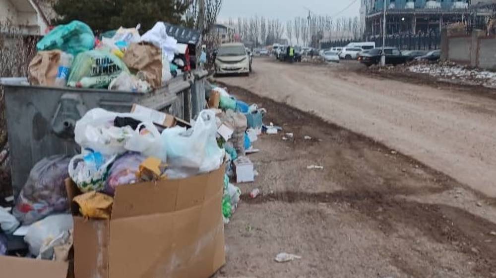 По улице Манас айылы переполнены мусорные баки