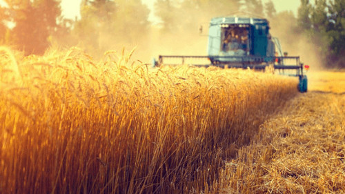 агросектор 2030