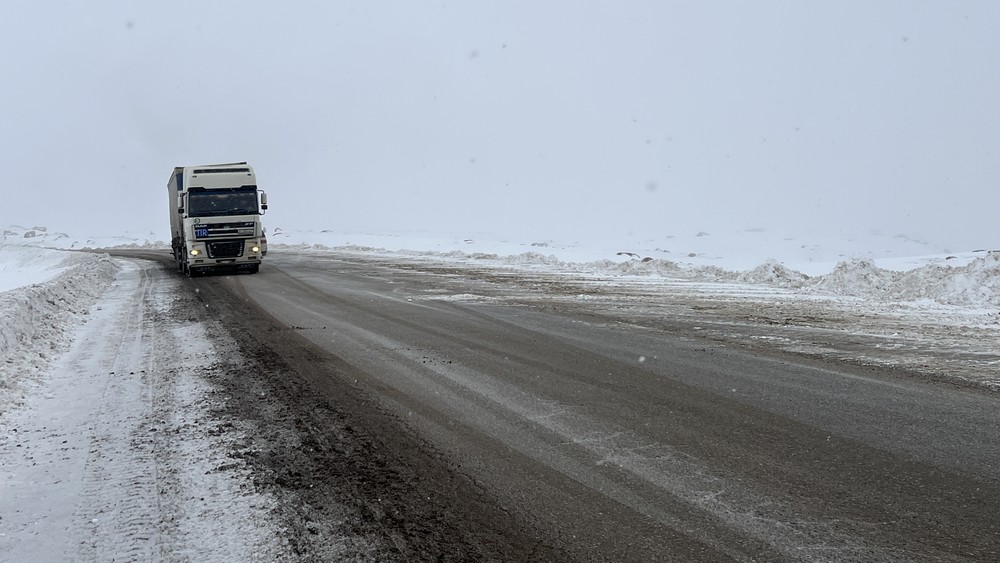 Иллюстрациялык сүрөт