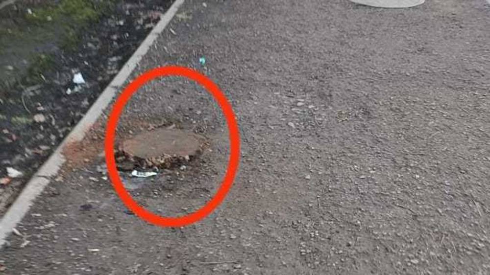 Зачем срубили деревья на ул.Токтогула? Фото горожанина