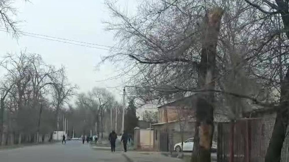 По ул.Ала-Арчинской нет тротуаров, люди ходят по проезжей части. Видео
