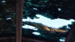 Навес остановки на Пишпеке весь в дырках. Фото