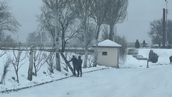 Законно ли возле ресторана «Ала-Тоо» пилят деревья? - горожанин