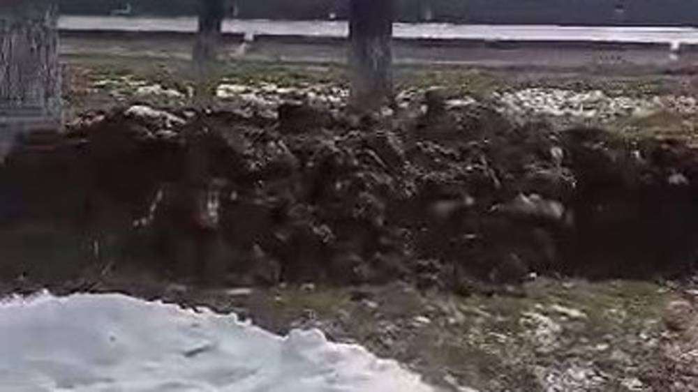 Куча свиного навоза в Новопавловке. Видео