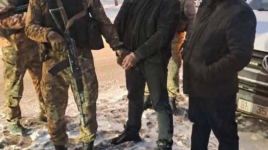 Иллюстрациялык сүрөт