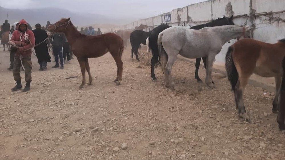 Иллюстрациялык сүрөт