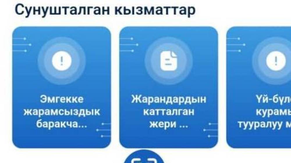 Почему на портале «Түндүк» нельзя получить разрешение на оружие? - горожанин