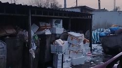 Мусорка на Ошском рынка переполнена. Видео