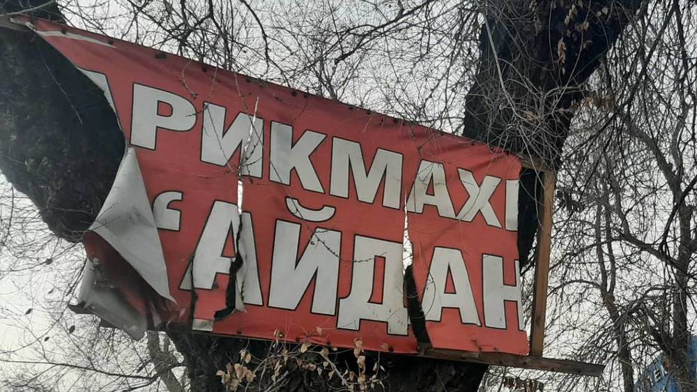 Парикмахерская «Айдана» на Пишпеке прибила свою вывеску к дереву. Фото