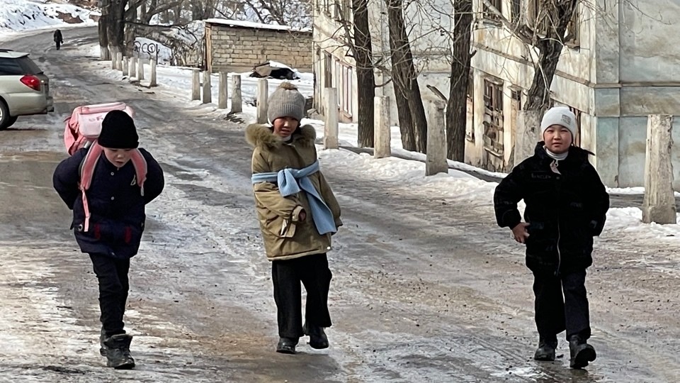 Иллюстративное фото