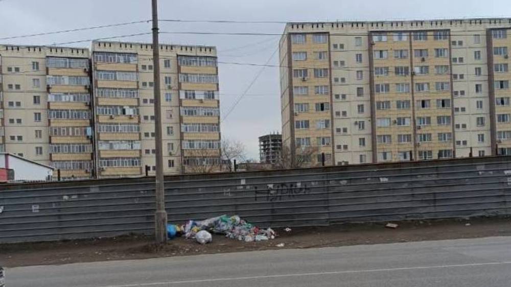 Вдоль дороги по Осмонкула лежит куча мусора, - горожанин