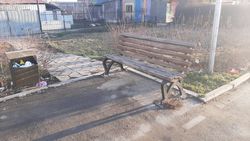 Газон и кусты на Южной магистрали в мусоре. Фото