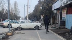 Клиенты шиномонтажа блокируют велодорожку и тротуар. Фото
