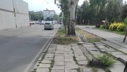Когда «Тазалык» установит урны возле Цирка? - горожанин