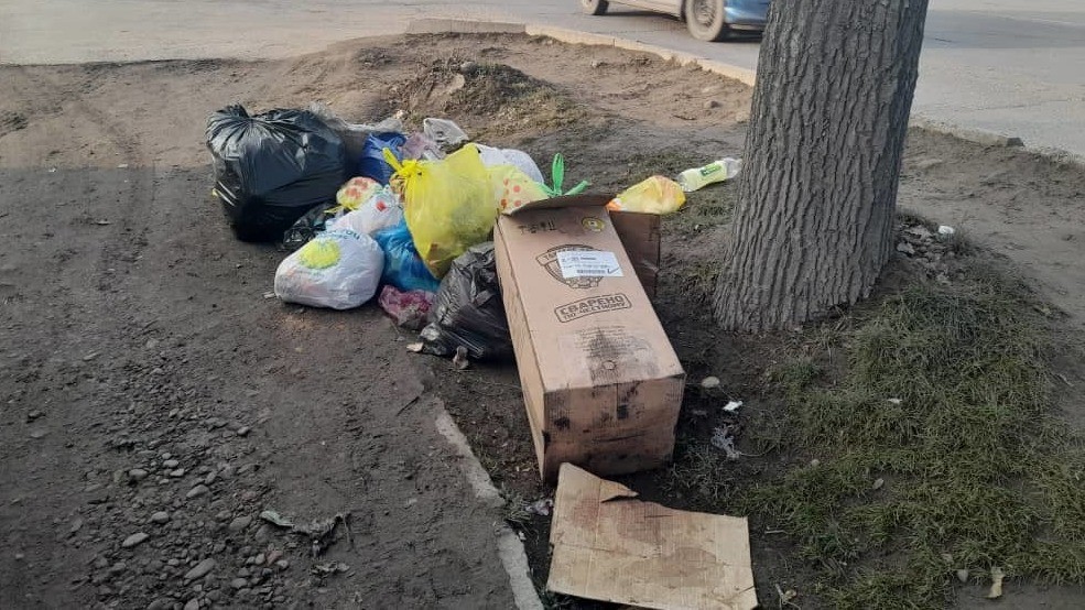 Иллюстрациялык сүрөт