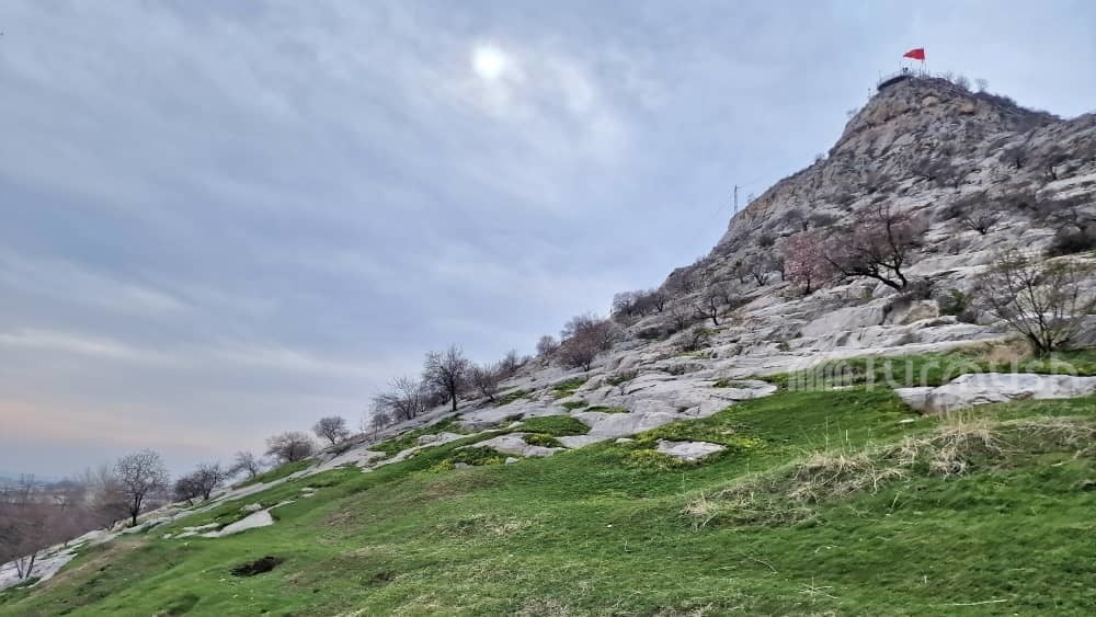 Иллюстрациялык сүрөт