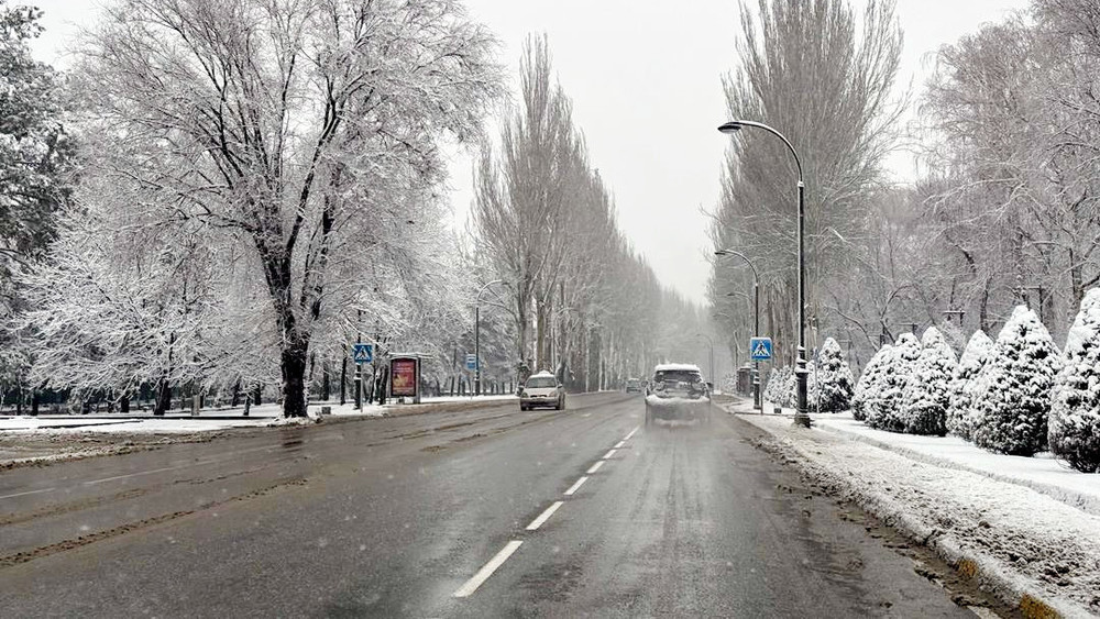 Иллюстрациялык сүрөт