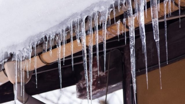 Иллюстративное фото