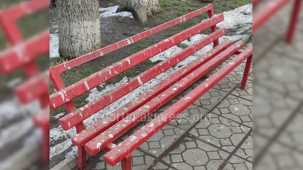 Скамейки напротив «Бета Сторес» в птичьем помете: Вопрос передан в муниципальную инспекцию для принятия мер