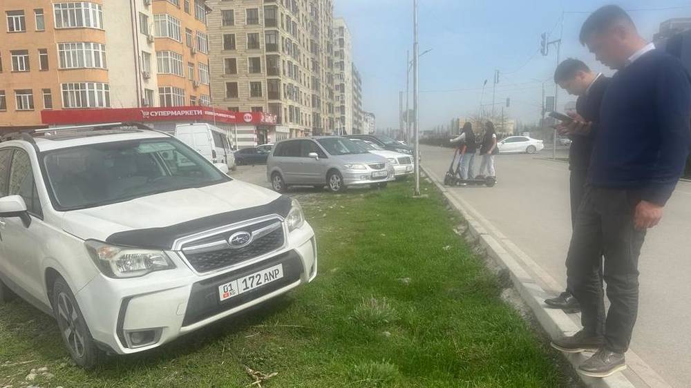 Муниципальная инспекция вновь разогнала водителей, припарковавшихся в зеленой зоне на Южной магистрали. Фото