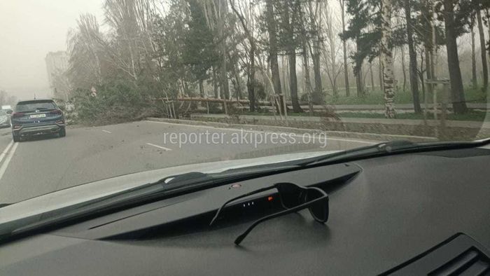Южные ворота
