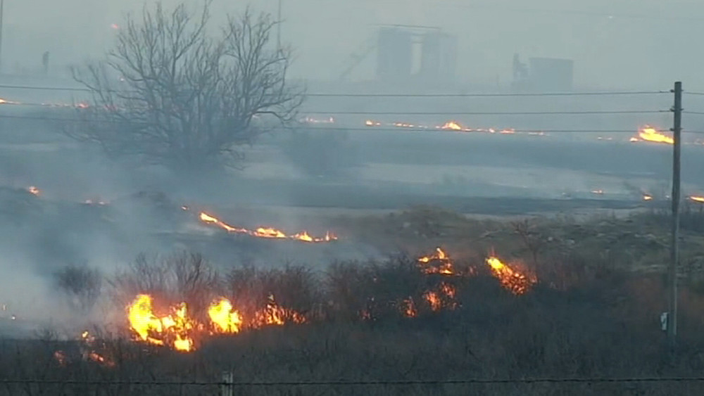 Иллюстративдик сүрөт