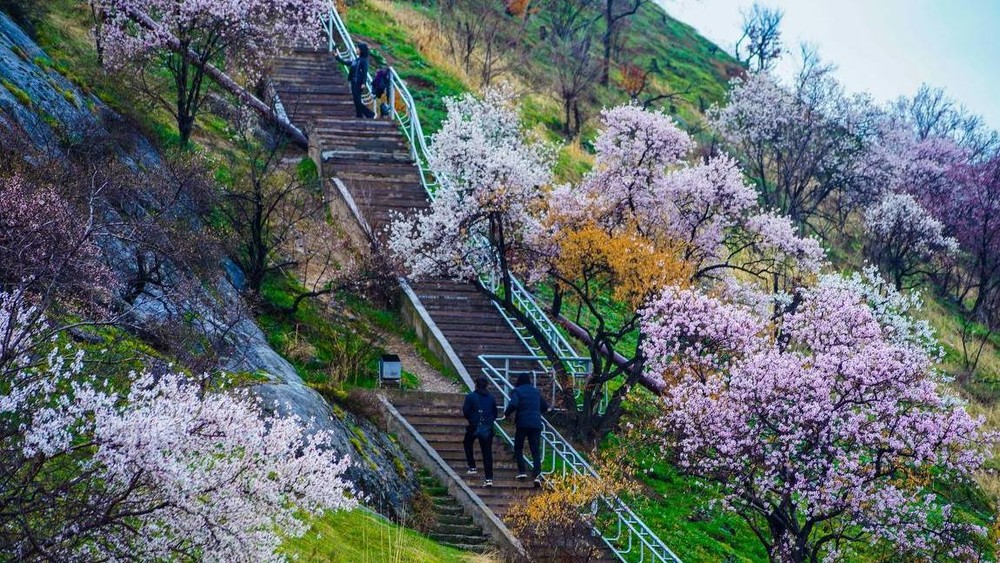 фото Белека Мусаева