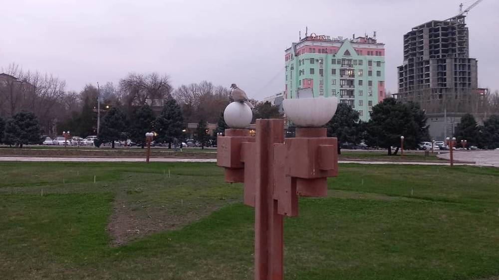 Разбитые фонари, плиты и мусор. Горожанин жалуется на состояние Площади Победы. Фото