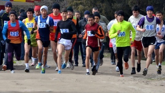 Иллюстрациялык сүрөт