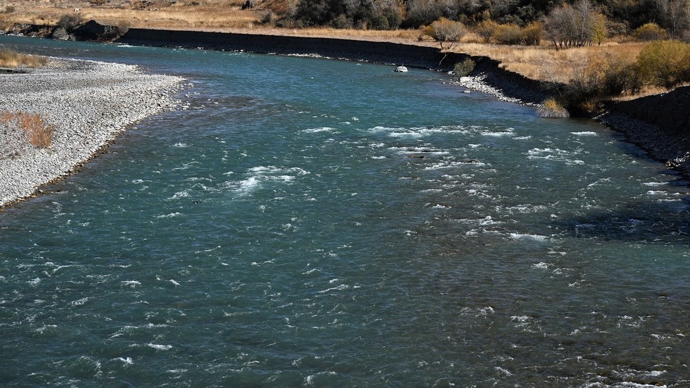 Иллюстративдик сүрөт