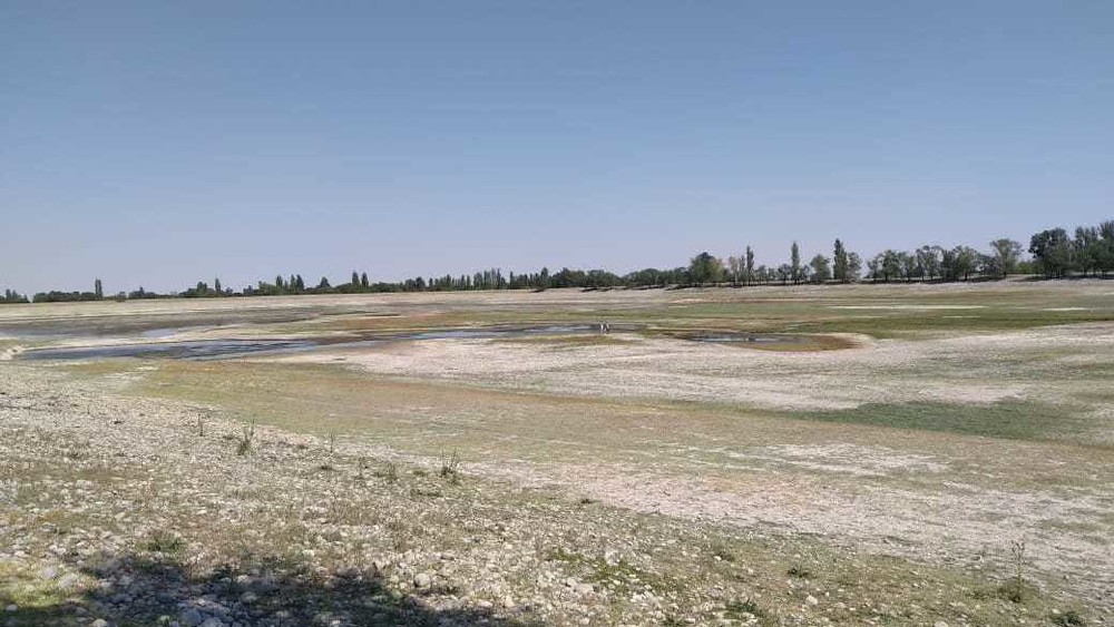 Иллюстративное фото