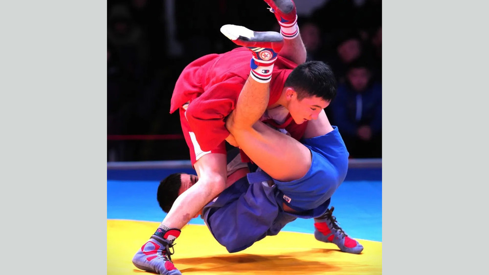 Иллюстрациялык сүрөт