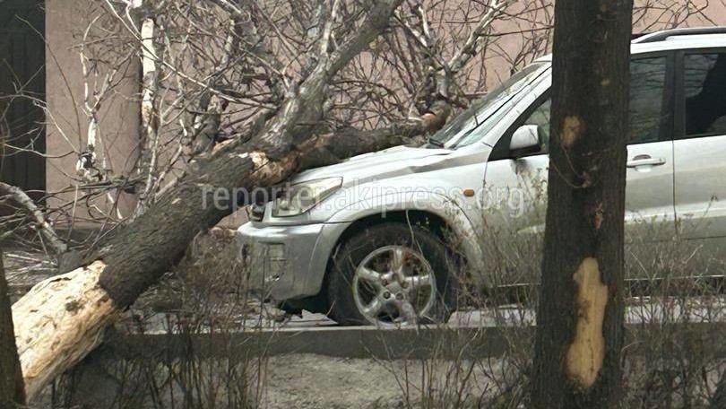 Иллюстрациялык сүрөт