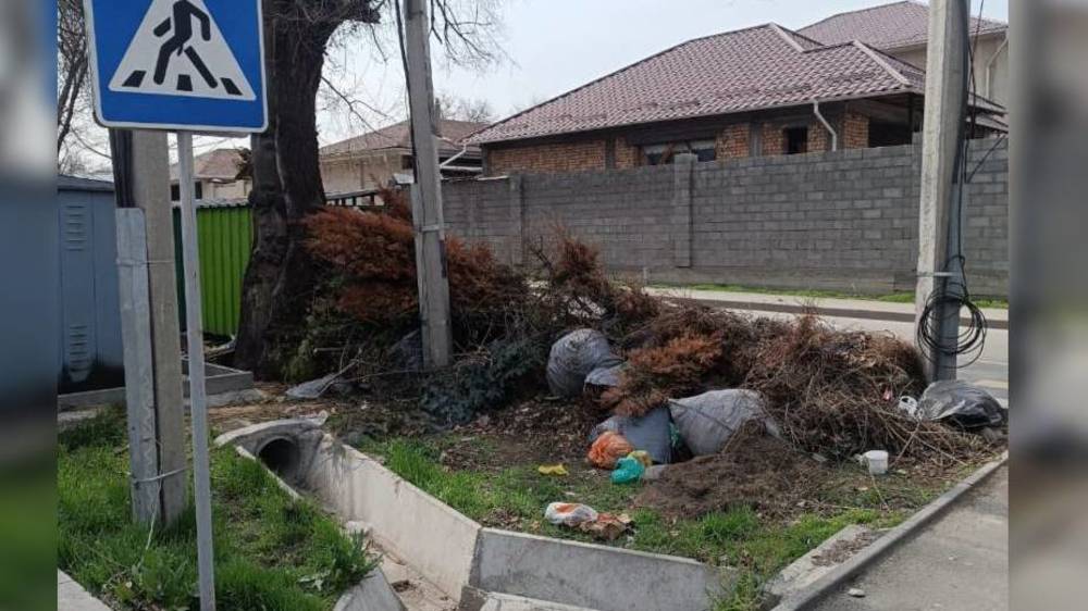 На Дзержинского-Пролетарская образовалась свалка из мусора, горожанин
