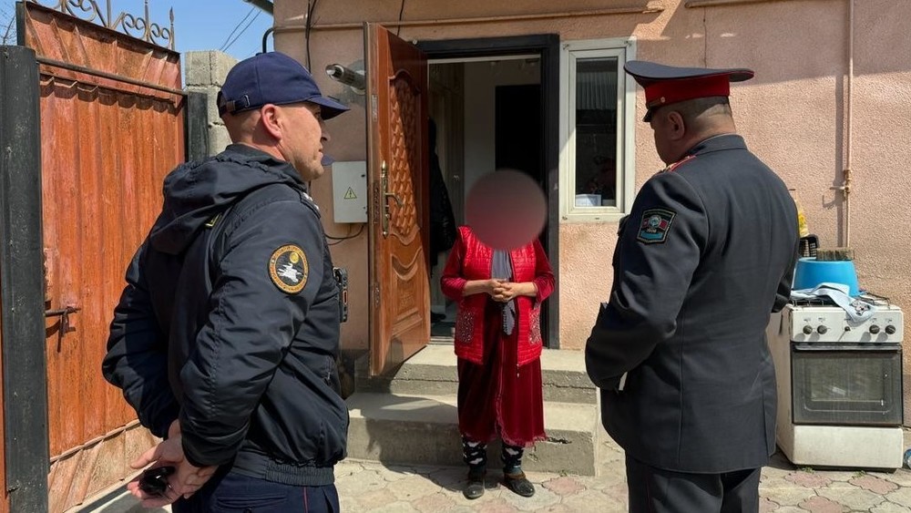 Иллюстрациялык сүрөт