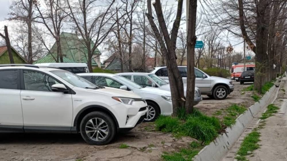 Еще одна зеленая зона, которая уничтожается водителями. Фото горожанина
