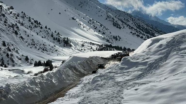 Иллюстрациялык сүрөт