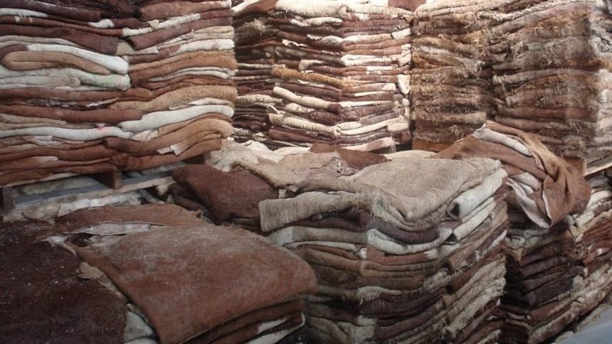 Иллюстрациялык сүрөт