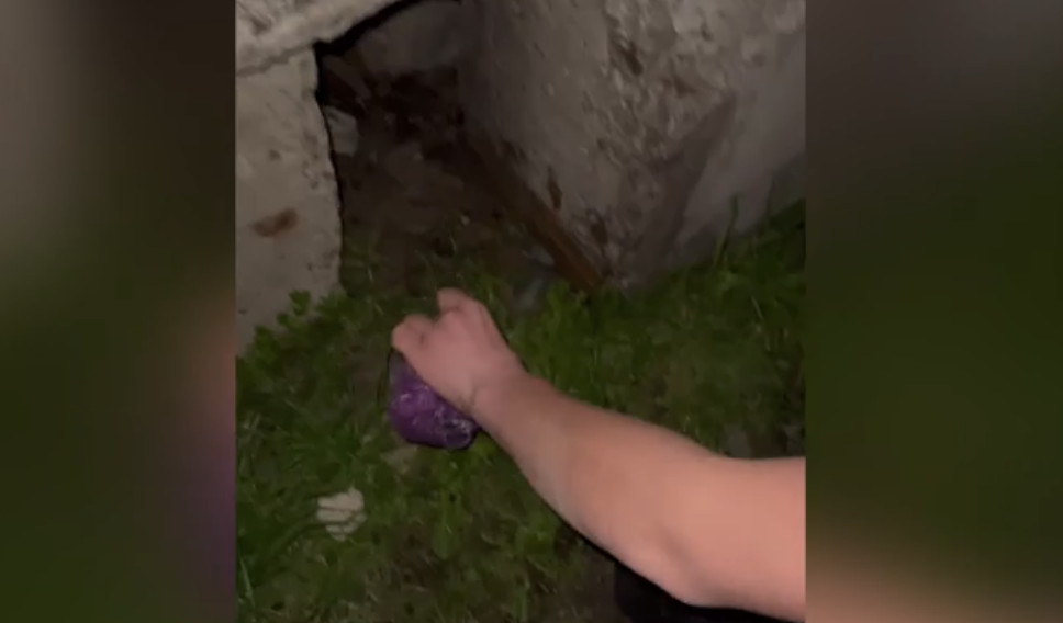 Иллюстрациялык сүрөт