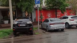 Водители продолжают парковаться на газоне на ул.Токтогула. Фото