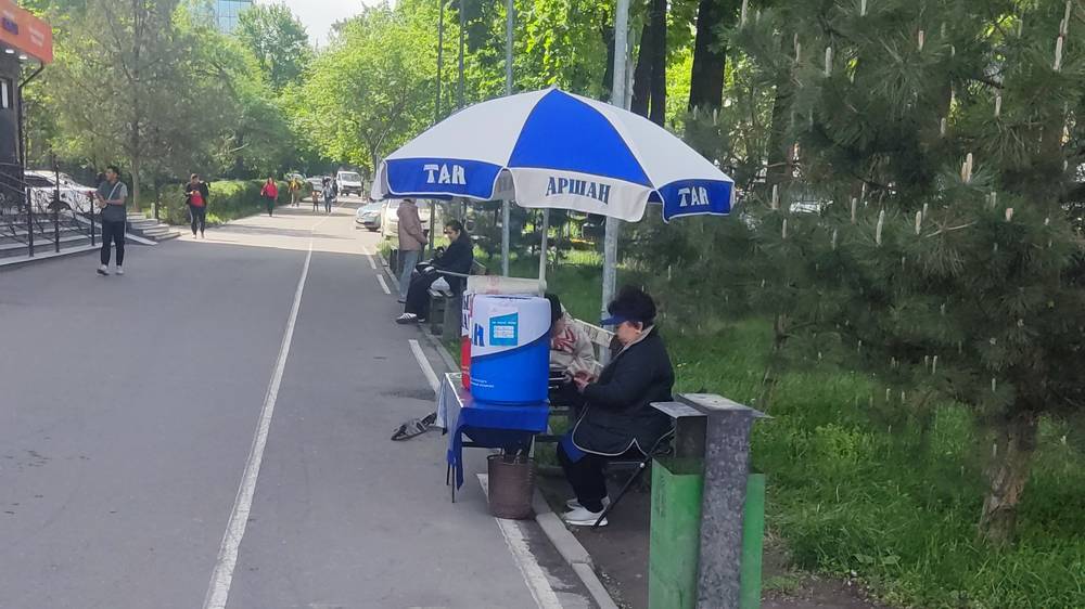 На велодорожке на Манаса женщина продает «Тан». Фото