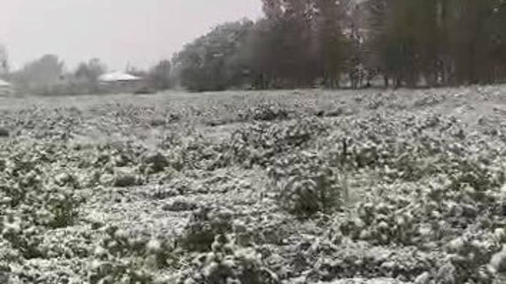 В Чуйской области также был снег. Видео