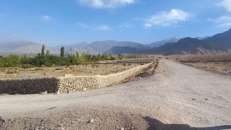 Иллюстрациялык сүрөт