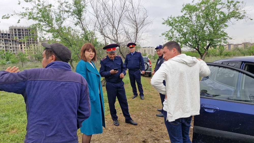 Пастуха и овец напротив нового Белого дома не обнаружили, - мэрия