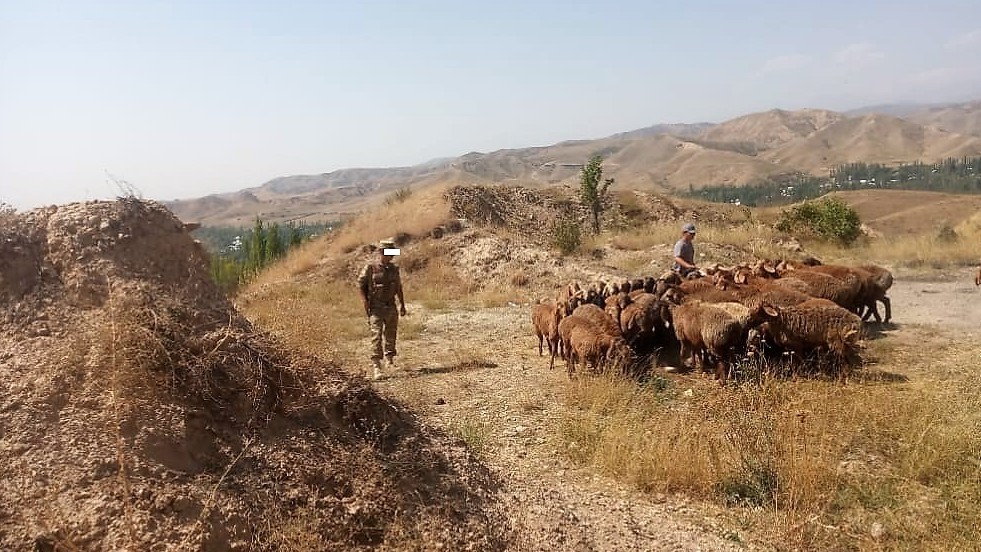 Иллюстрациялык сүрөт